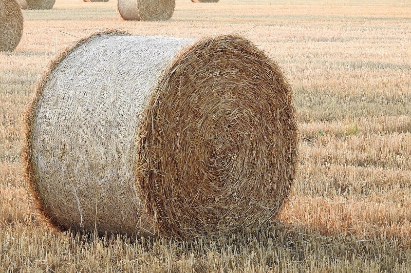 Straw Bale