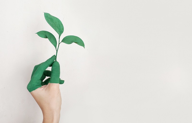 Environmental Considerations