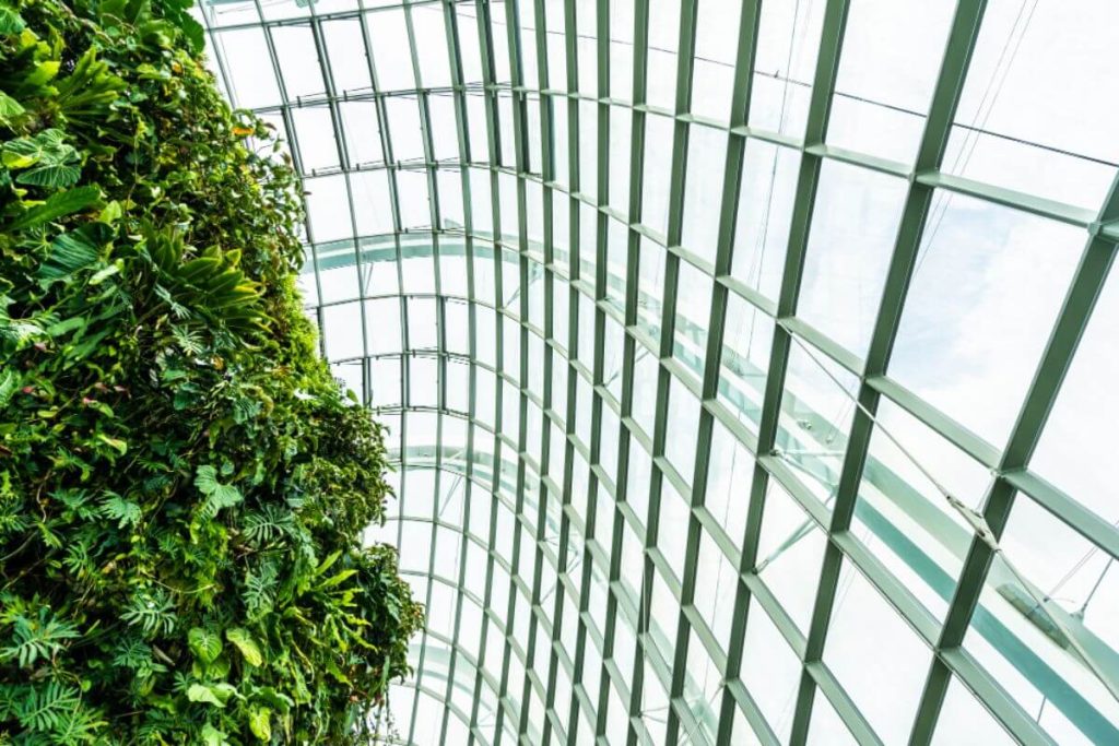Green wall beside a glass and steel building frame showing sustainable construction design