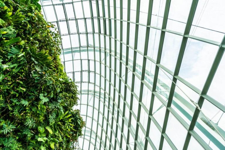 Green wall beside a glass and steel building frame showing sustainable construction design